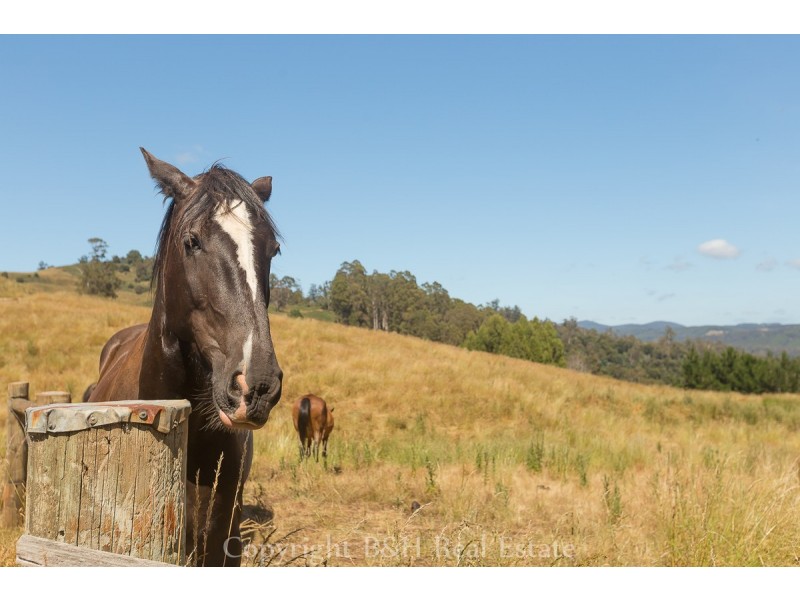 654 Spellmans Road, Wilmot TAS 7310