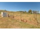 654 Spellmans Road, Wilmot TAS 7310
