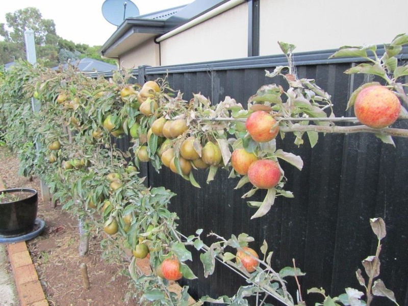 4 Poynton Close, Turners Beach TAS 7315