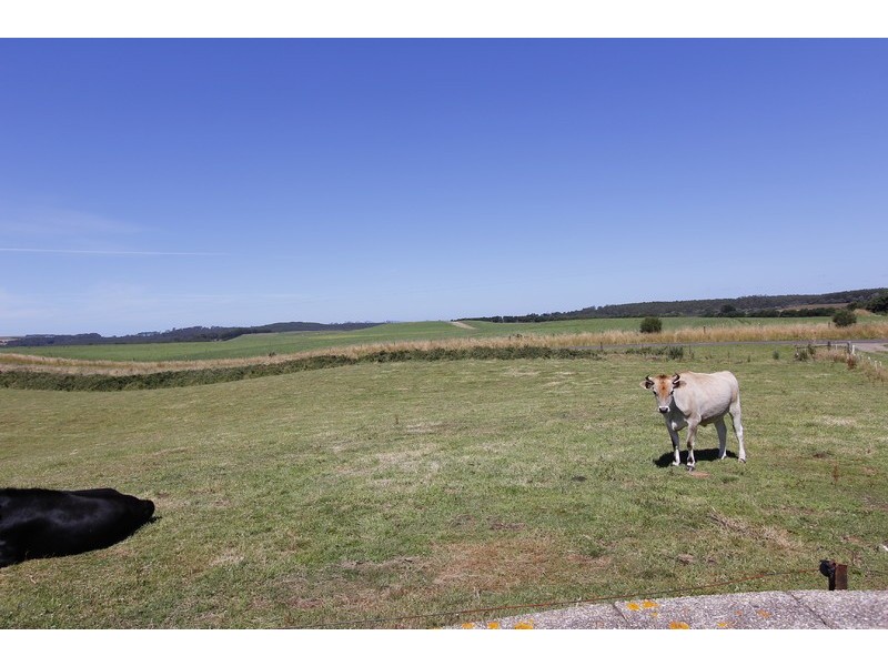 2380 Murchison Highway, Henrietta TAS 7325