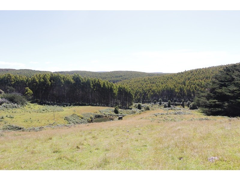 2380 Murchison Highway, Henrietta TAS 7325