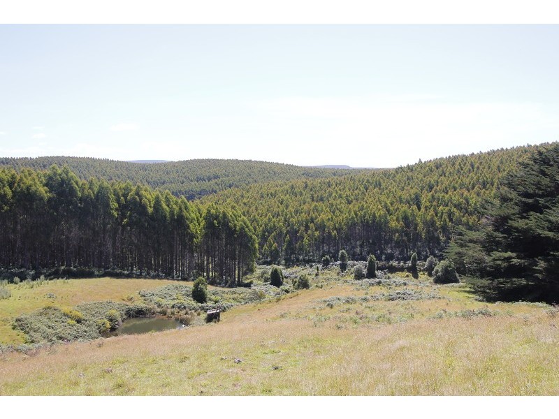 2380 Murchison Highway, Henrietta TAS 7325