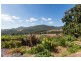459 Pine Road, Penguin TAS 7316