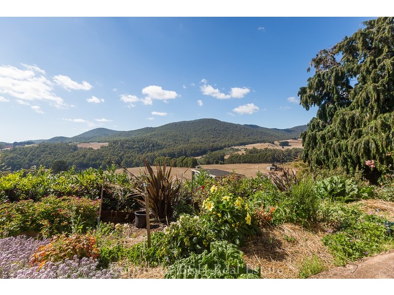 459 Pine Road, Penguin TAS 7316
