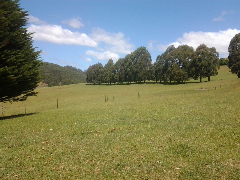 576 Stotts Road, Camena TAS 7316