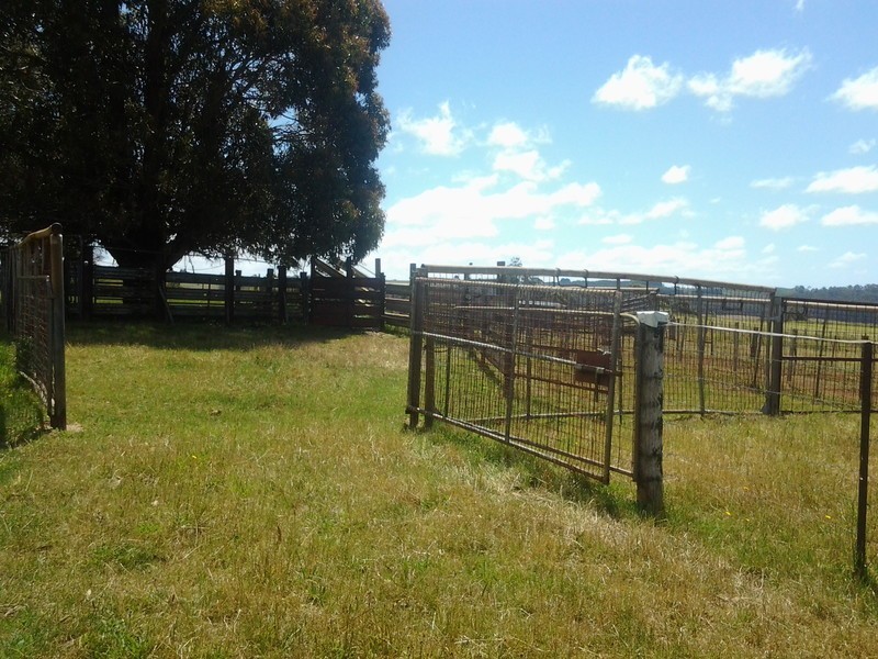 576 Stotts Road, Camena TAS 7316