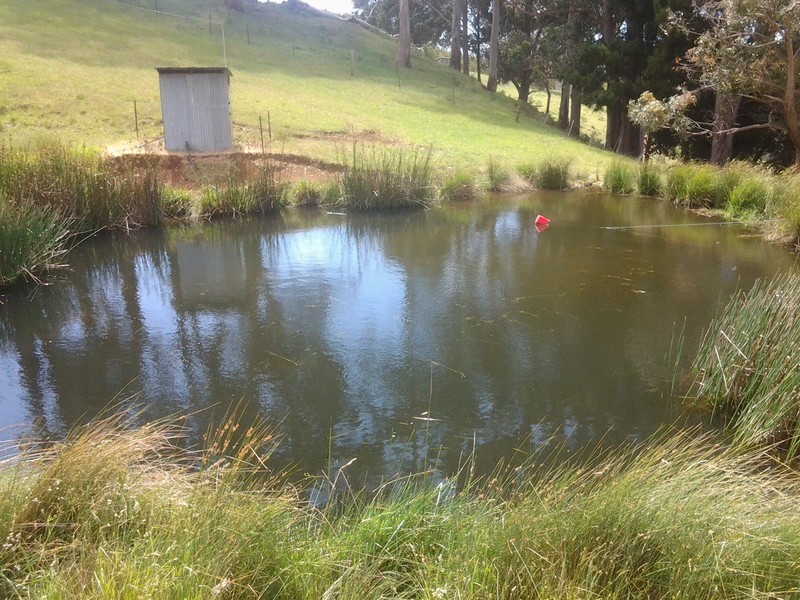 576 Stotts Road, Camena TAS 7316