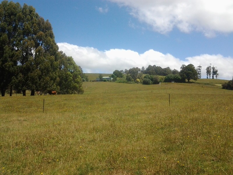 576 Stotts Road, Camena TAS 7316