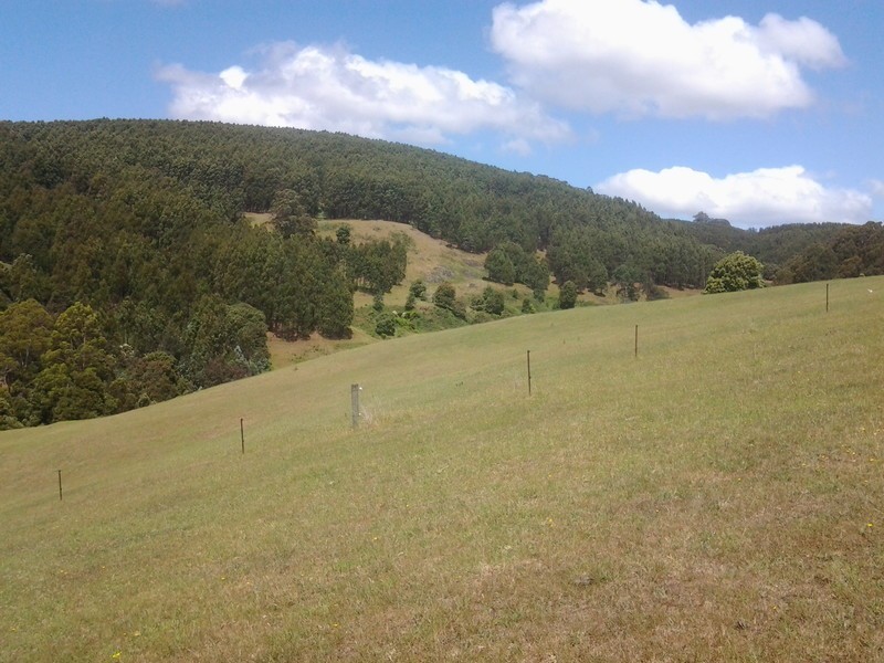 576 Stotts Road, Camena TAS 7316