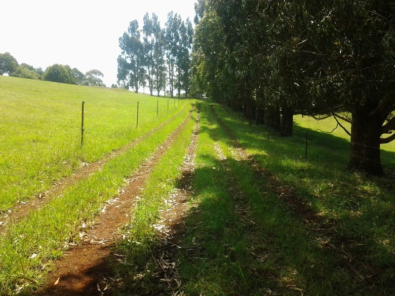 576 Stotts Road, Camena TAS 7316