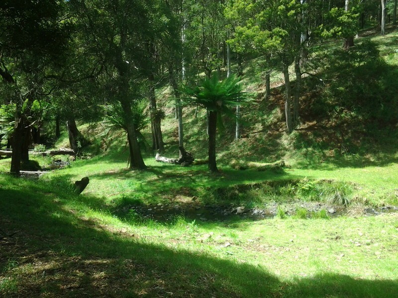 576 Stotts Road, Camena TAS 7316