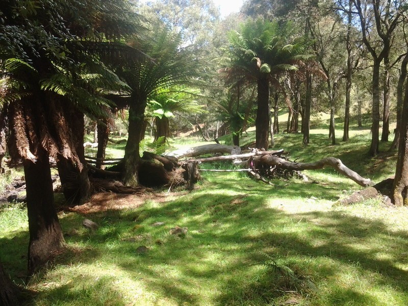 576 Stotts Road, Camena TAS 7316