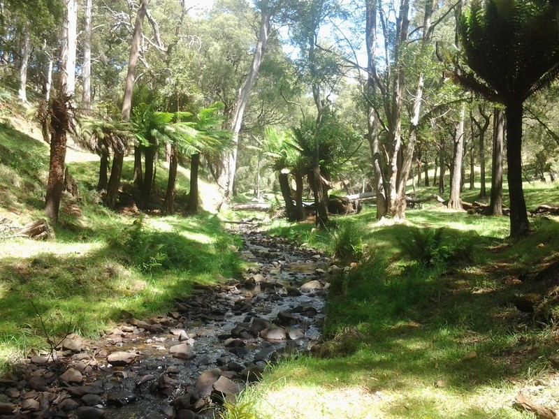 576 Stotts Road, Camena TAS 7316