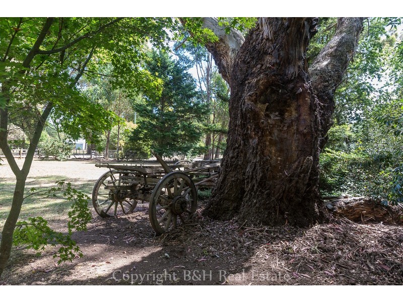 393 Lockwoods Road, Claude Road TAS 7306