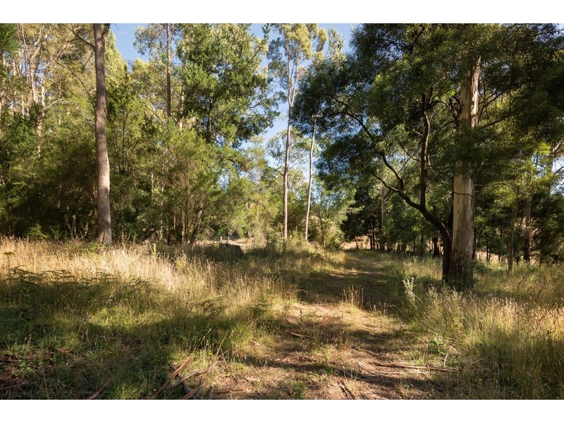 310 Old Paradise Road, Sheffield TAS 7306