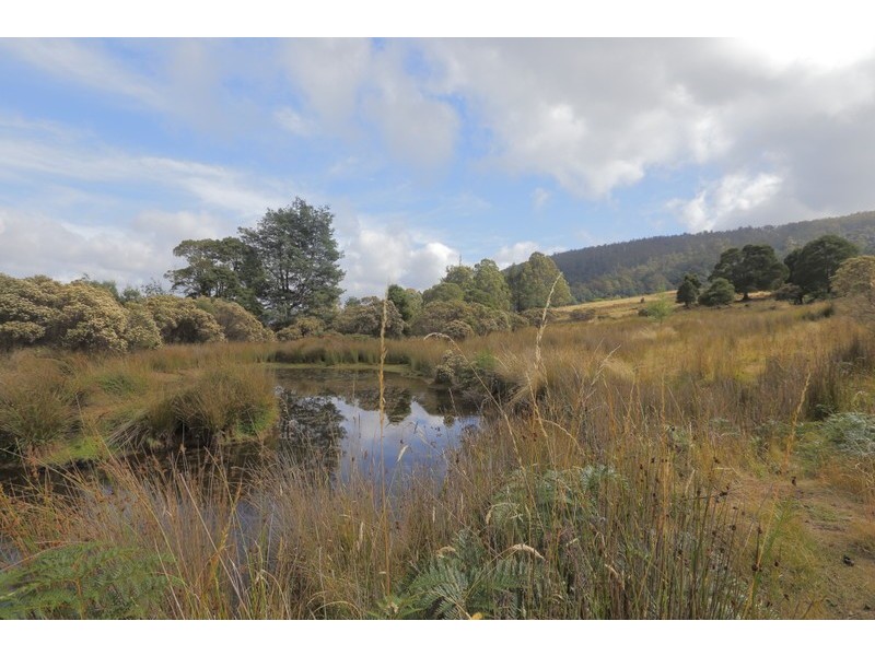 196 Wilks Road, Lorinna TAS 7306