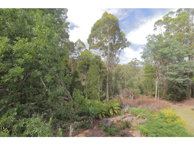 196 Wilks Road, Lorinna TAS 7306