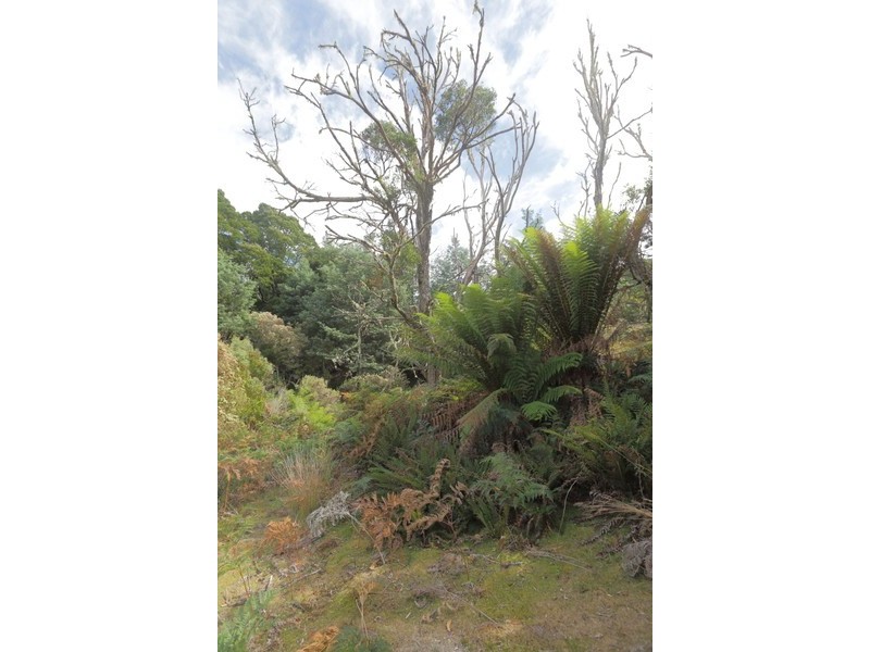 196 Wilks Road, Lorinna TAS 7306