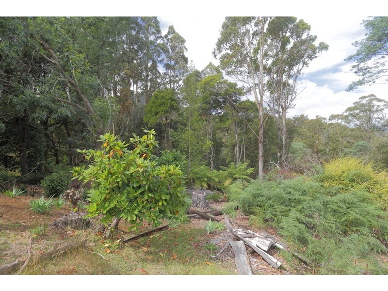 196 Wilks Road, Lorinna TAS 7306
