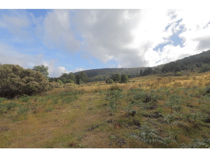 196 Wilks Road, Lorinna TAS 7306