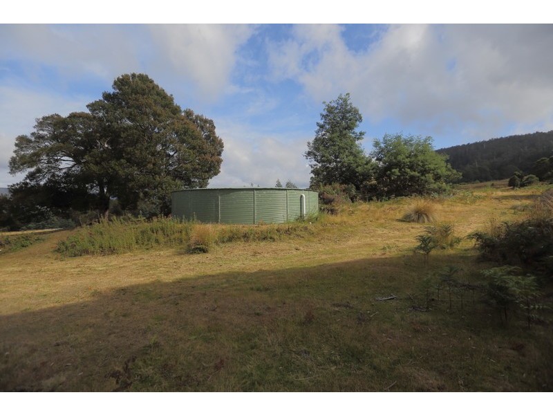 196 Wilks Road, Lorinna TAS 7306