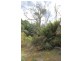 196 Wilks Road, Lorinna TAS 7306
