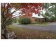 369 Back Road, Wilmot TAS 7310