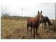 369 Back Road, Wilmot TAS 7310