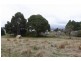 369 Back Road, Wilmot TAS 7310