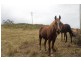 369 Back Road, Wilmot TAS 7310