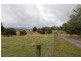 369 Back Road, Wilmot TAS 7310