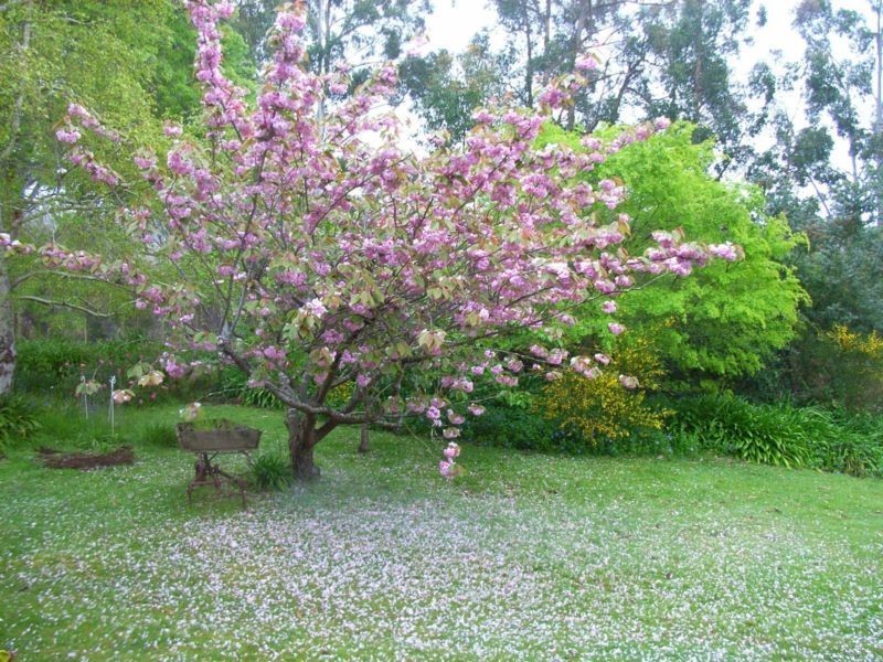 18 Lester Road, Penguin TAS 7316