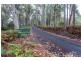 328 Sheffield Road, South Spreyton TAS 7310