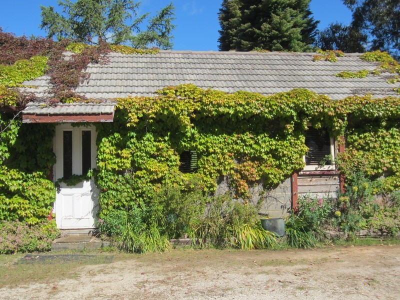 18 Lester Road, Penguin TAS 7316