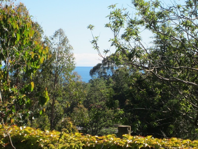 18 Lester Road, Penguin TAS 7316