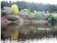 1135 Pine Road, Riana TAS 7316