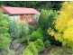 1135 Pine Road, Riana TAS 7316