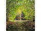 1135 Pine Road, Riana TAS 7316