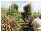 1135 Pine Road, Riana TAS 7316