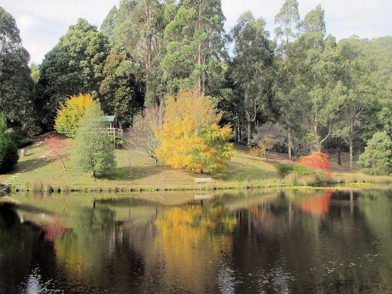 1135 Pine Road, Riana TAS 7316