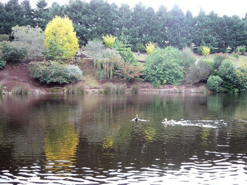 1135 Pine Road, Riana TAS 7316