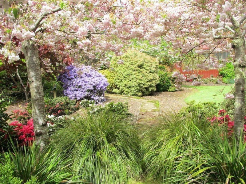 1135 Pine Road, Riana TAS 7316