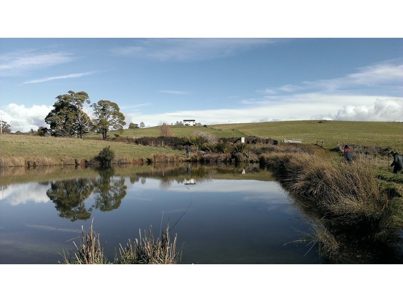 276 Back Road, Lower Wilmot TAS 7310