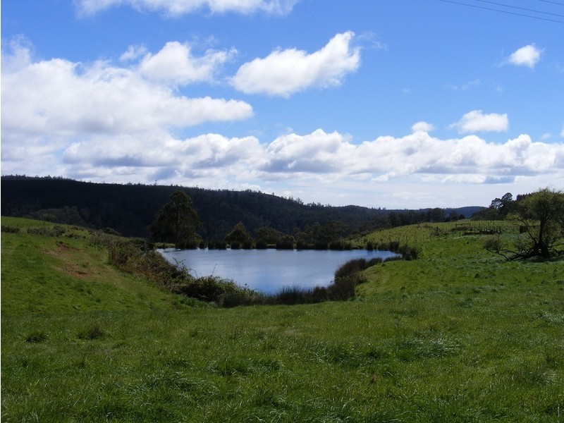 276 Back Road, Lower Wilmot TAS 7310