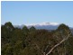 276 Back Road, Lower Wilmot TAS 7310