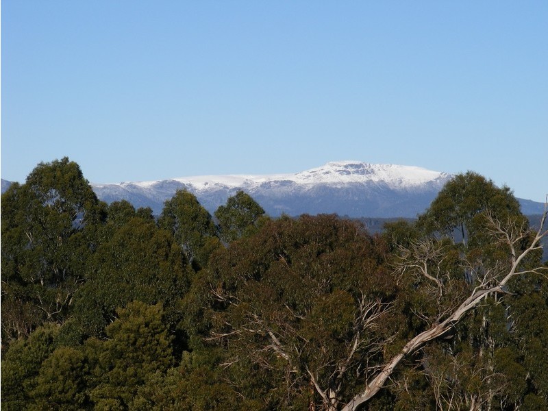 276 Back Road, Lower Wilmot TAS 7310
