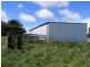 276 Back Road, Lower Wilmot TAS 7310