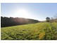 20 O’Grady Street, Havenview TAS 7320
