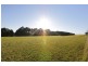 20 O’Grady Street, Havenview TAS 7320