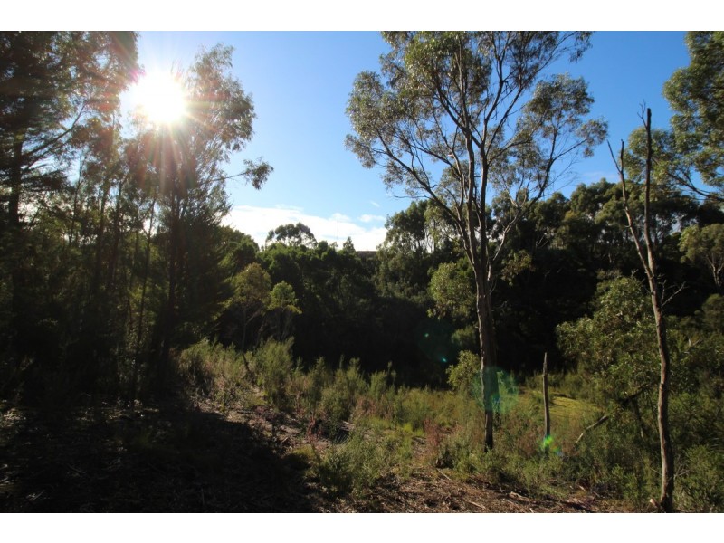 30 – 32 Harvey Street, Strahan TAS 7468